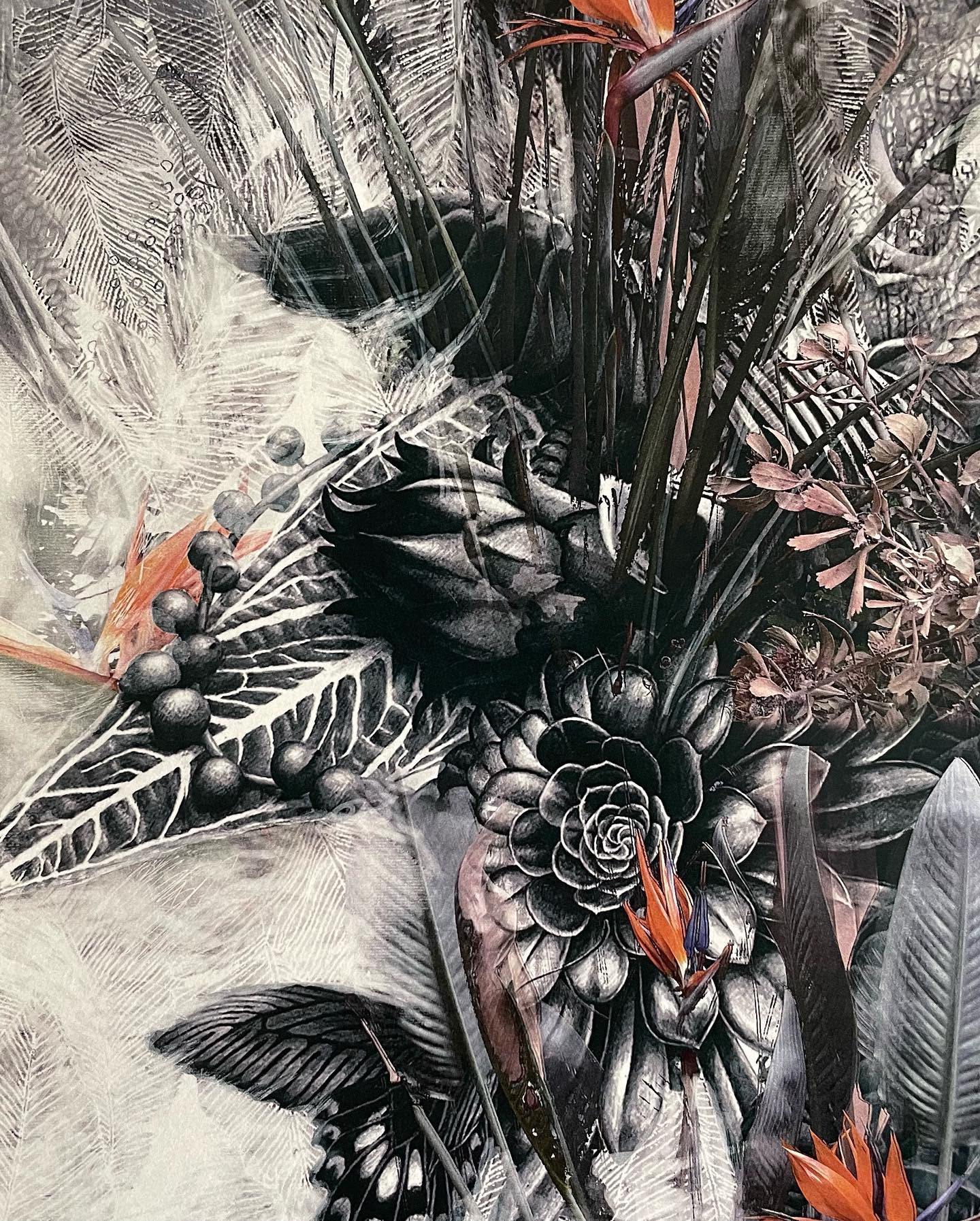 202201_shinrin cal 2